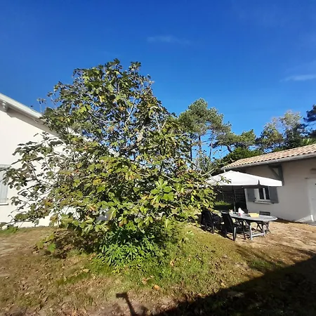 Maison Landaise Avec Annexe, Jardin, Proche Et Commerces - Fr-1-239-1003 Holiday home